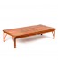 Table pliante basse